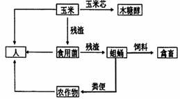 食物鏈加環(huán)技術(shù)在生態(tài)工程中的應(yīng)用與效益分析
